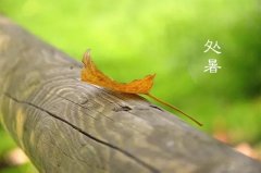 今日12时9分，迎来处暑节气